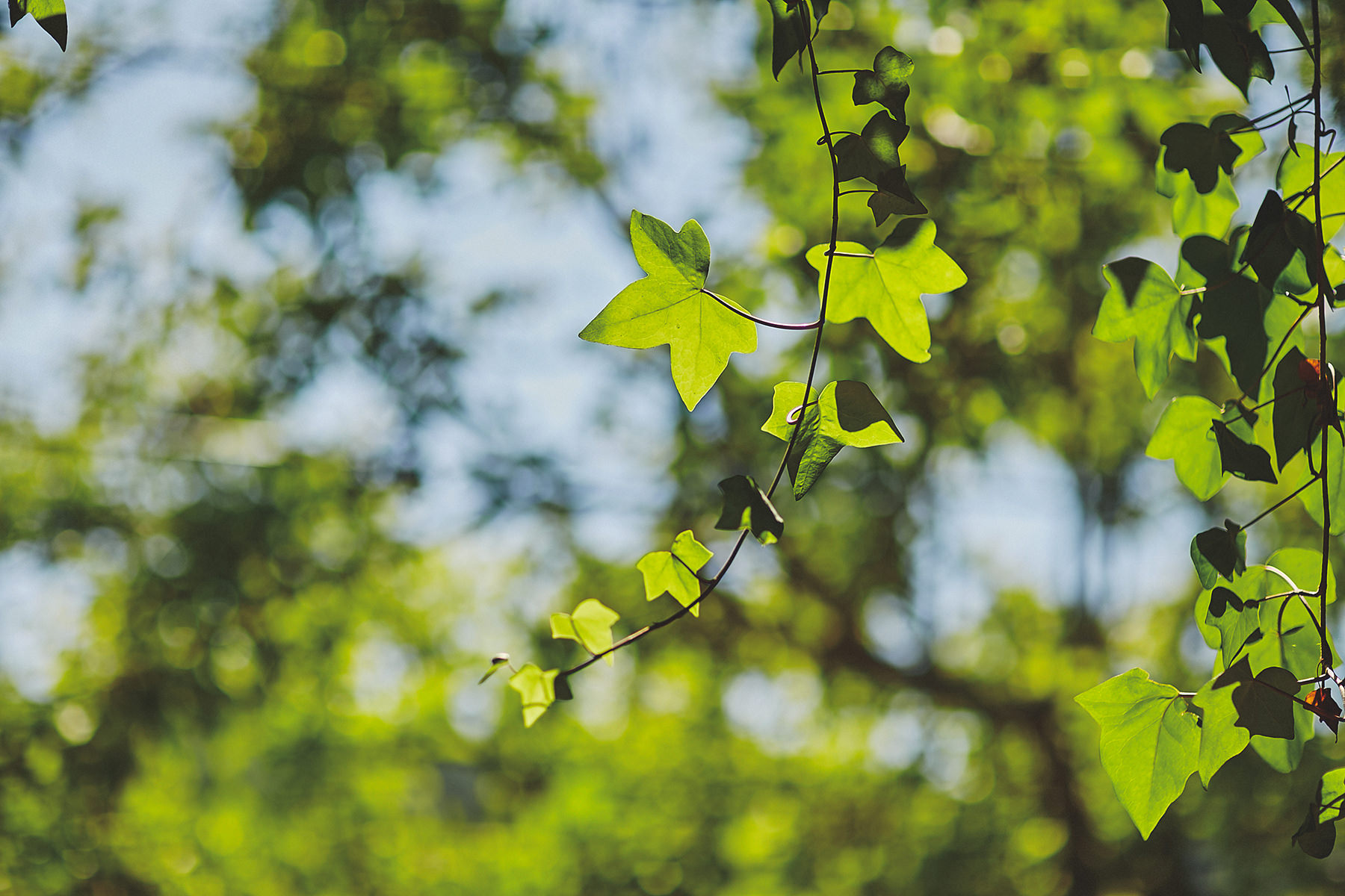 Destination wedding in a magical Mallorca 2