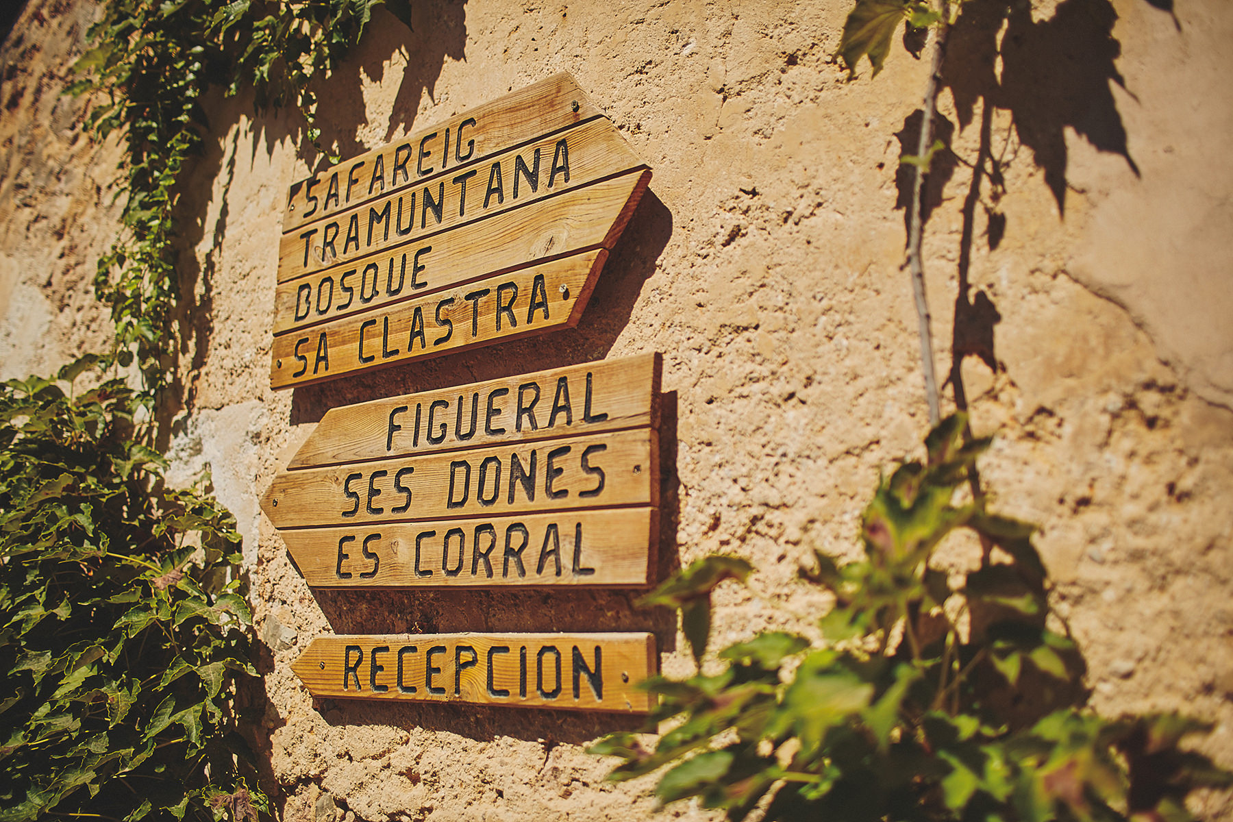 Destination wedding in a magical Mallorca 3