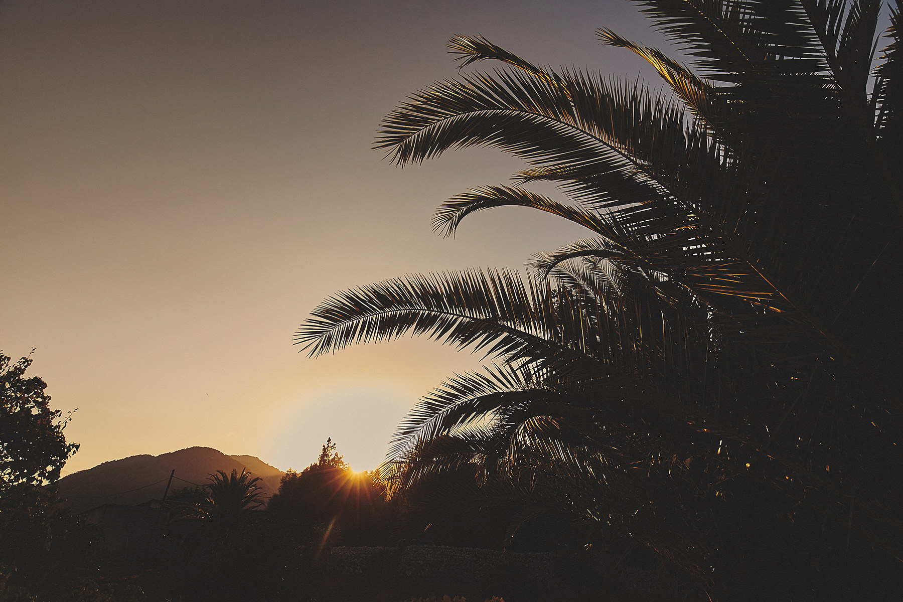 Destination wedding in a magical Mallorca 77