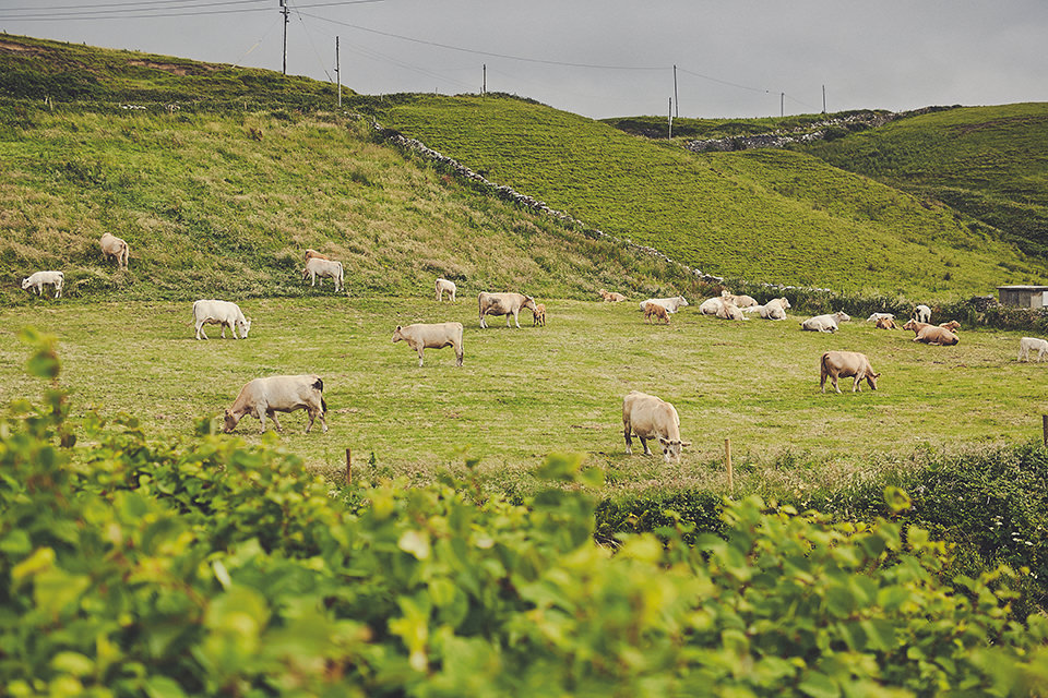 Elopement Wedding Ireland | Destination Wedding Ireland 83 Elopement Wedding Ireland Doolin090