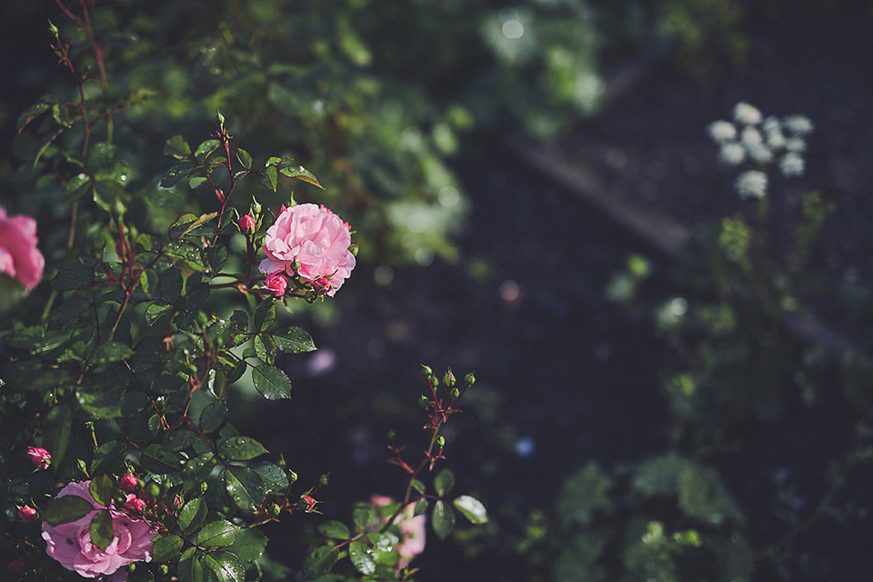 Elopement Wedding Ireland | Destination Wedding Ireland 89 Elopement Wedding Ireland Doolin096