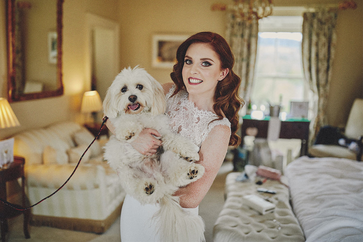 Have Your Dog At Wedding 2