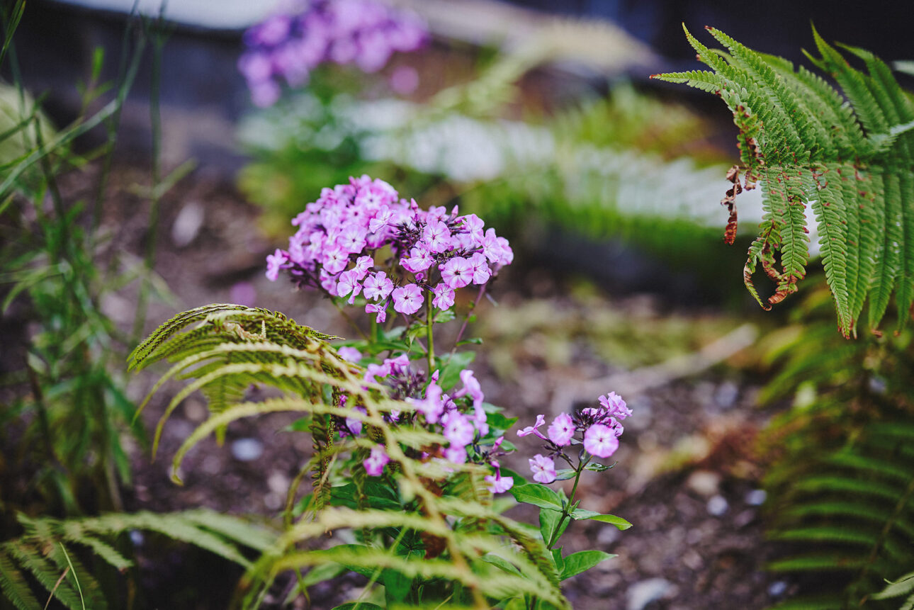 5 Reasons Poulaphouca House Wedding & Falls Barn Epitomises Romantic Irish Charm 34