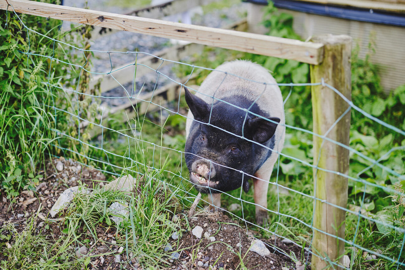 5 Reasons Poulaphouca House Wedding & Falls Barn Epitomises Romantic Irish Charm 53
