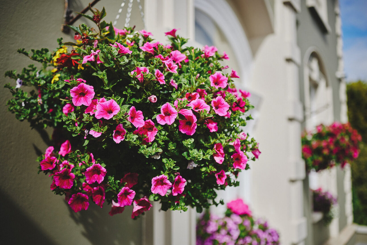 Newbay Hotel Perfect Wedding Location for Magical Wedding Photographs 12 Newbay Hotel Perfect Wedding Location for Magical Wedding Photographs 9